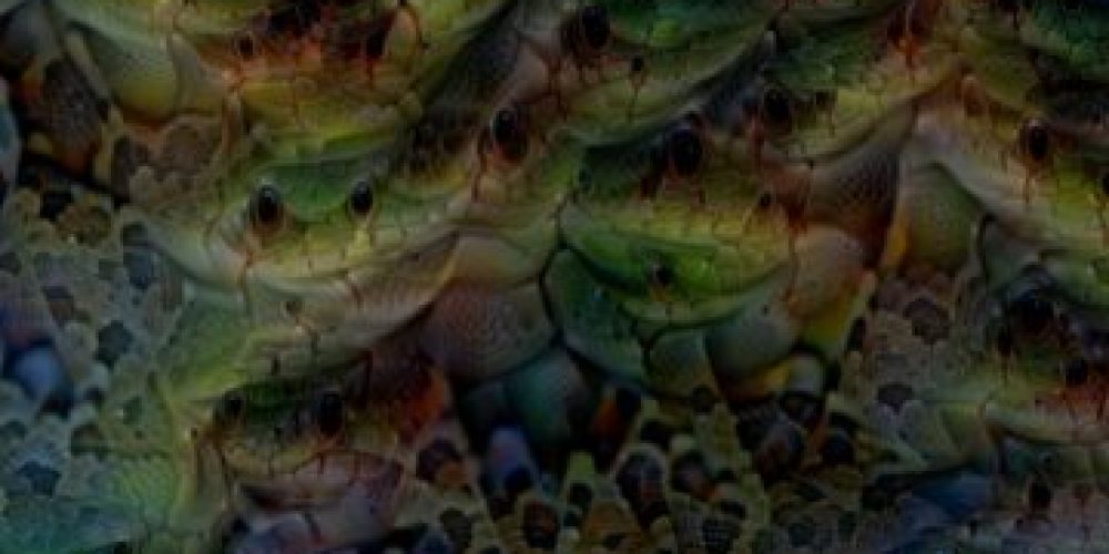 Deep Dream